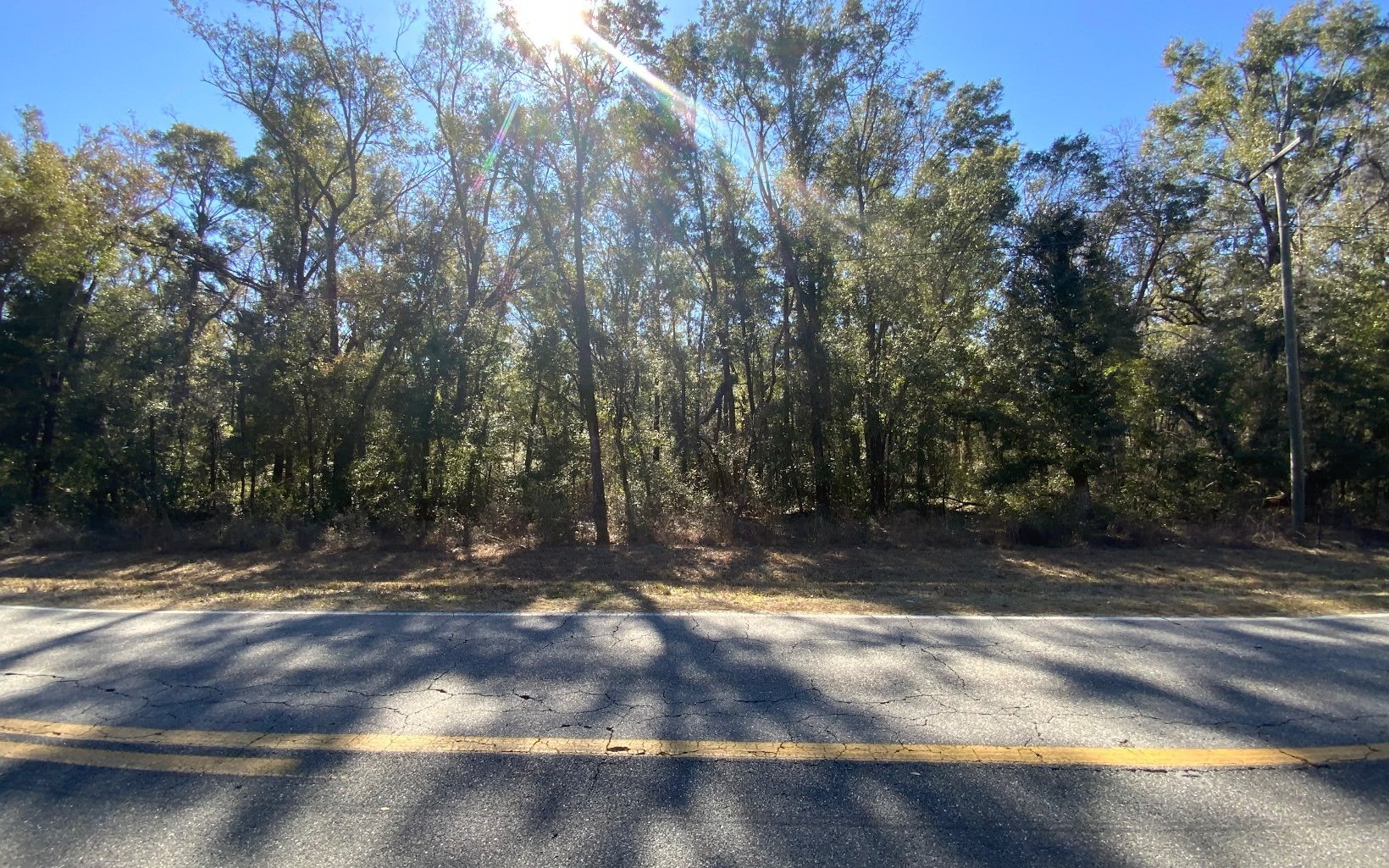 Wooded Lot Near Suwannee River