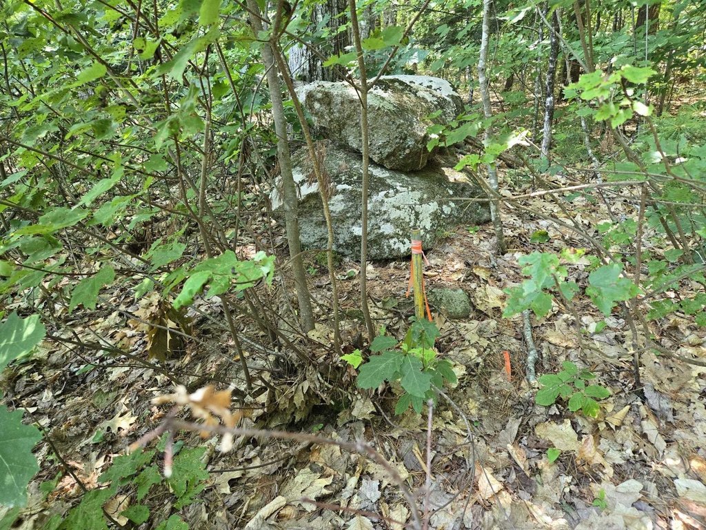 Picture 4