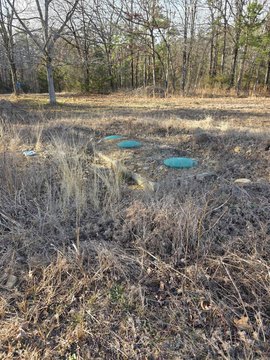 Land Near Lake Wilhelmina