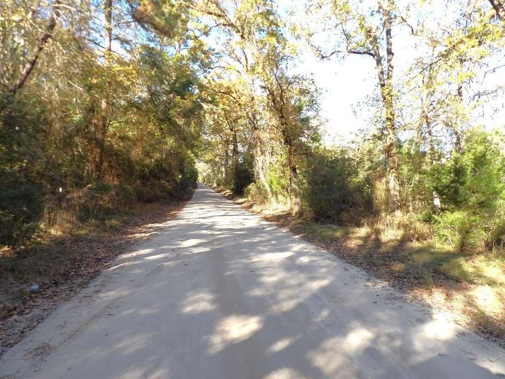 Picture 31