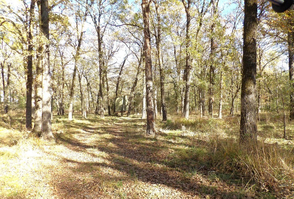 Picture 19