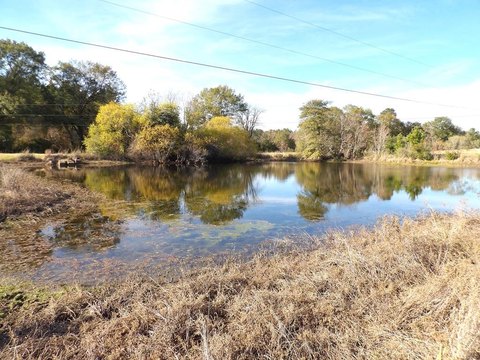 Land, Crockett, TX