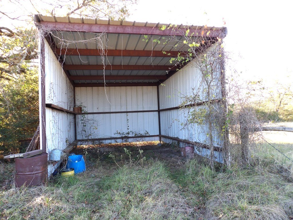 Picture 15