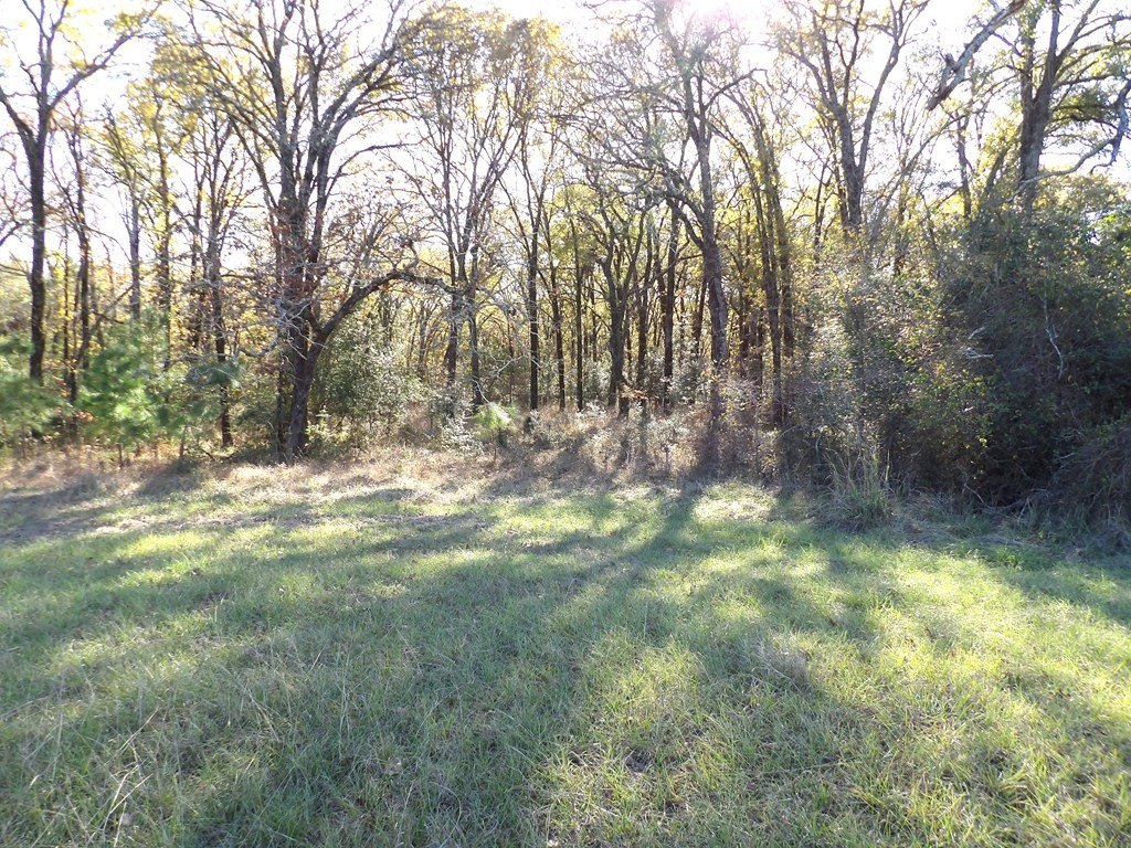 Picture 22