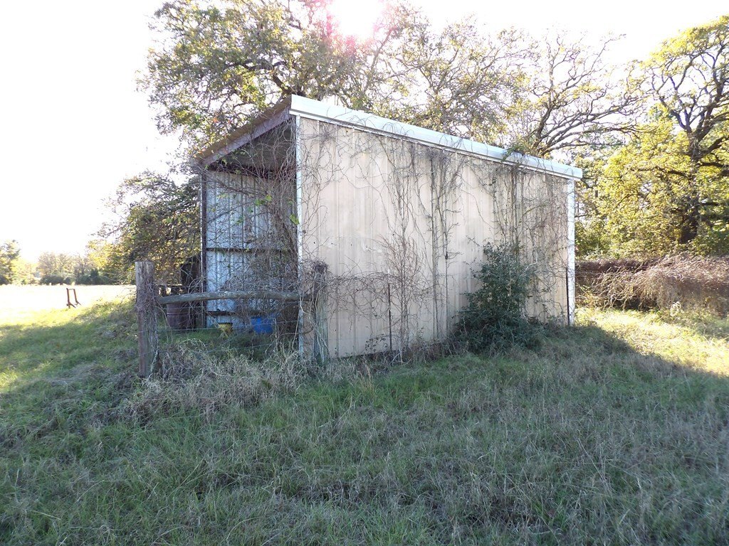 Picture 14