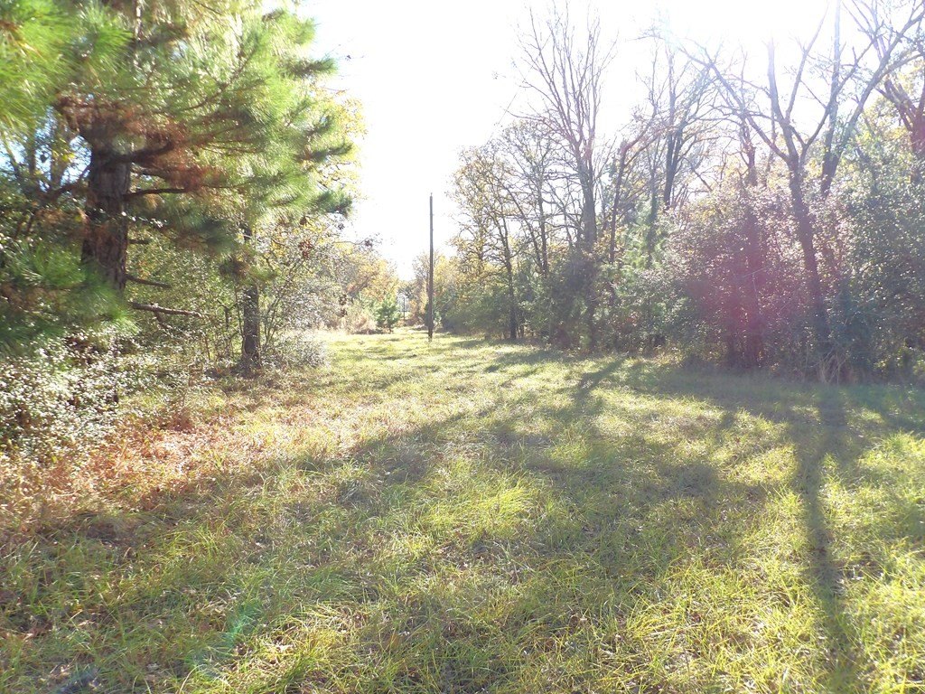 Picture 16