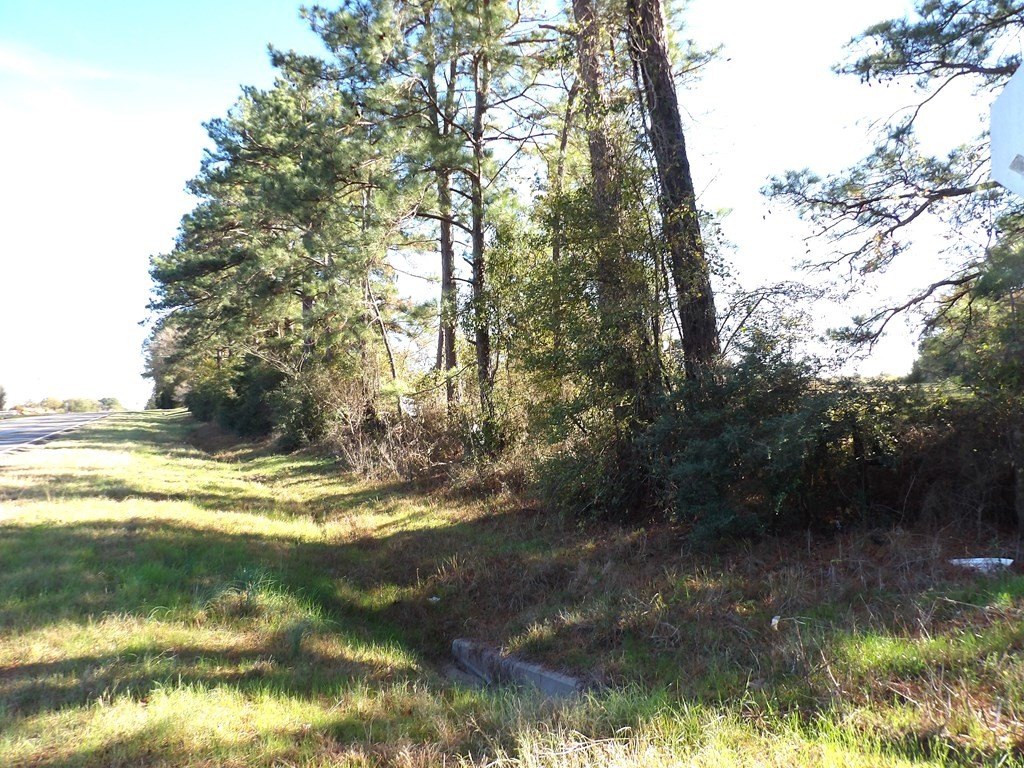 Picture 33
