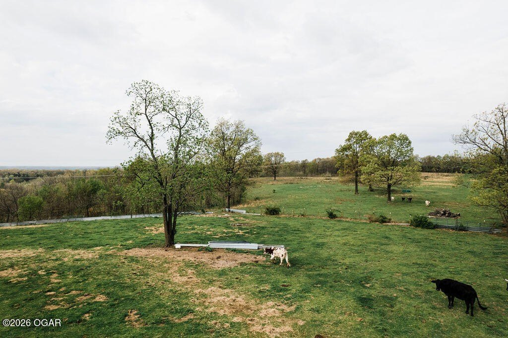 79 Acres of Farmland