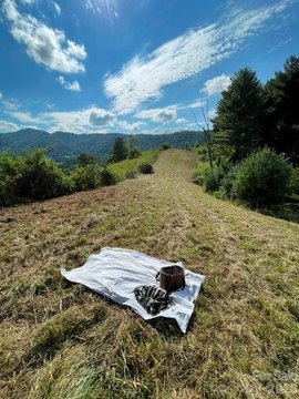 Land, Marshall, NC