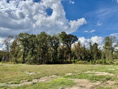 Lots & Acreage, Steens, MS