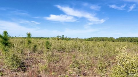 LAND - Jay, FL