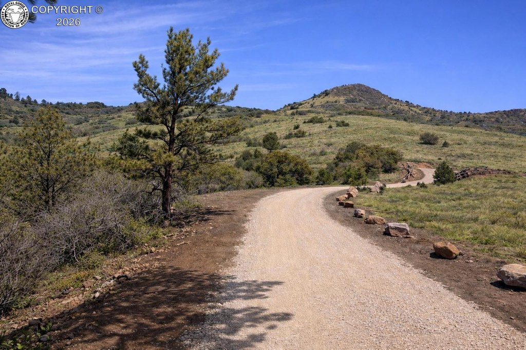 Picture 20