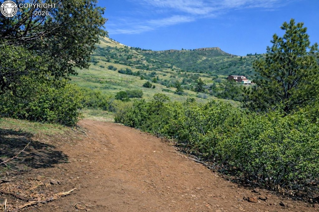 Picture 11