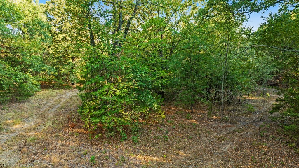 Picture 8