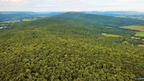 Off-Grid Hunting and Recreation Land