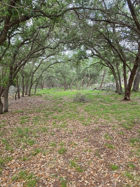 Picture 15