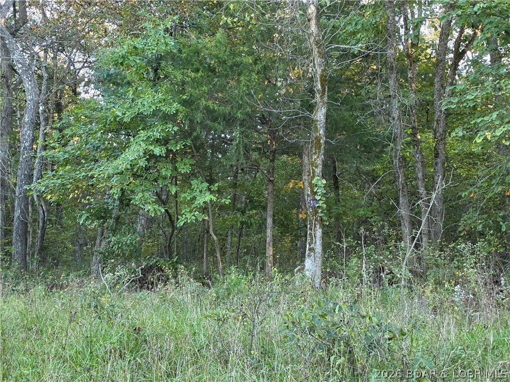 Picture 7