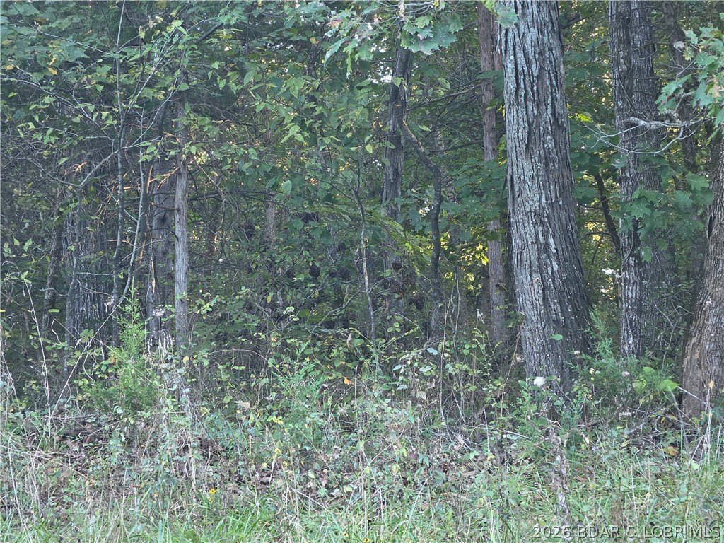 Picture 8