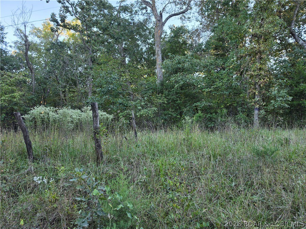 Picture 6