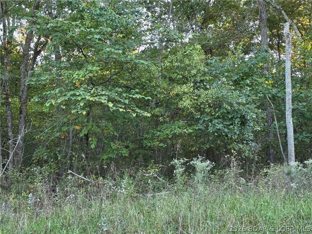 Picture 9