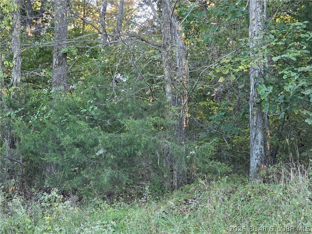 Picture 11