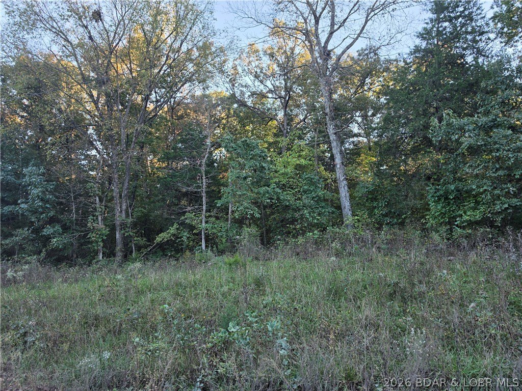 Picture 5