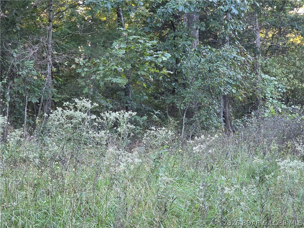 Picture 4