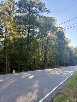 Land, Lake View, AL