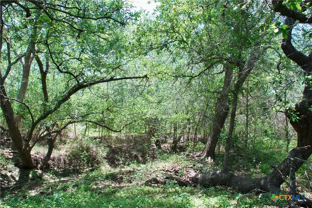 Picture 20