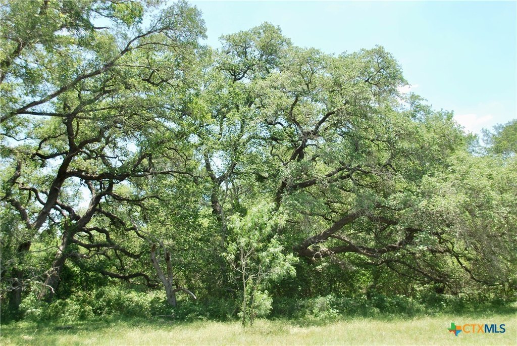 Picture 8