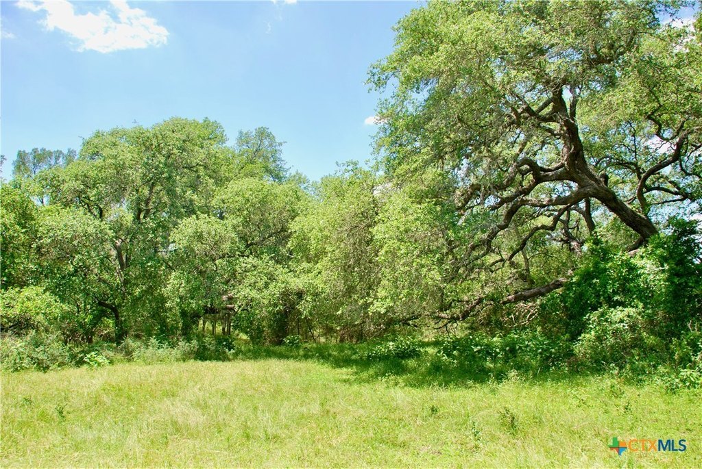 Picture 17