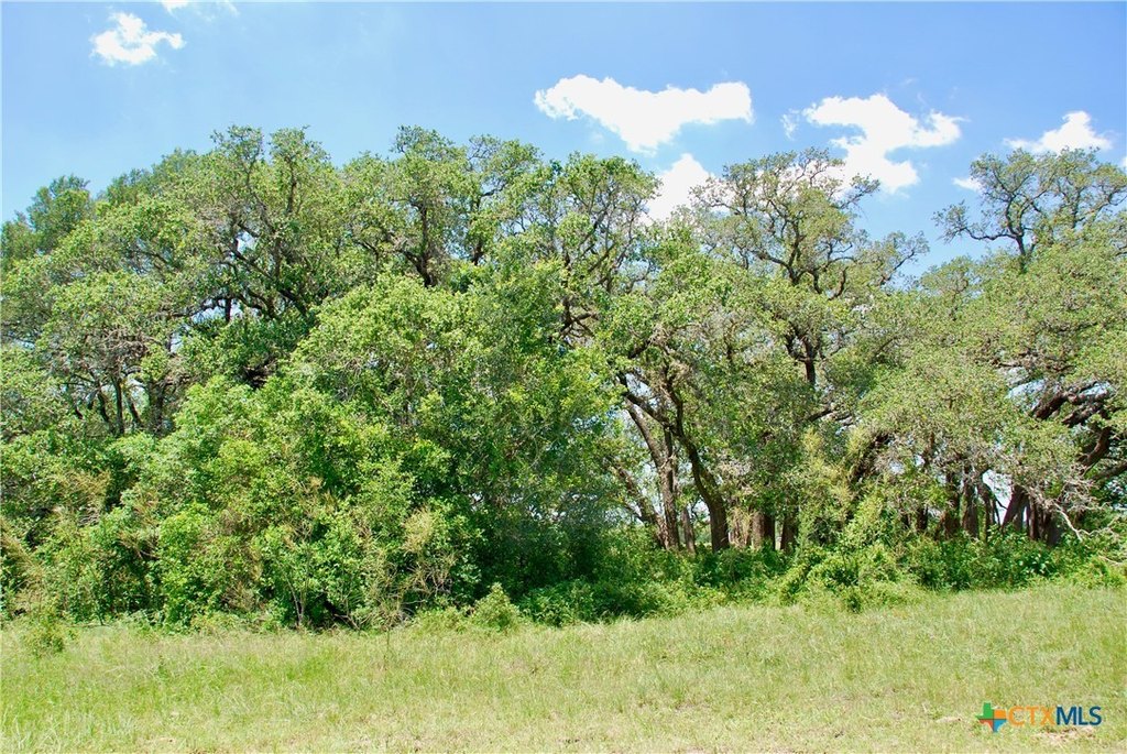 Picture 23