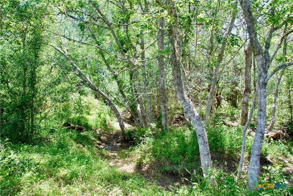 Picture 18