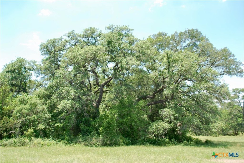 Picture 16