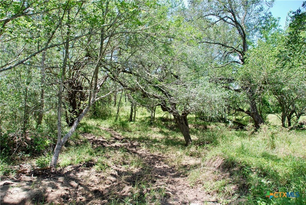 Picture 19