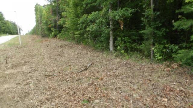 Picture 20