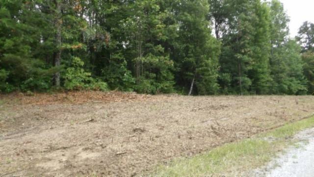 Picture 6