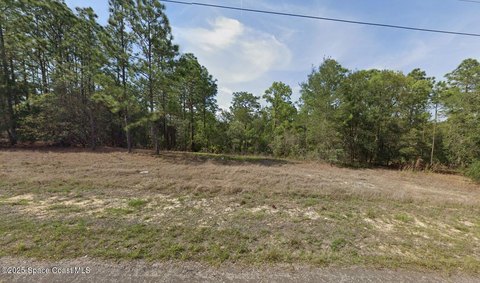 Residential Lot in Citrus Springs