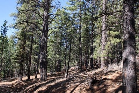 Tommy Creek Land with Septic