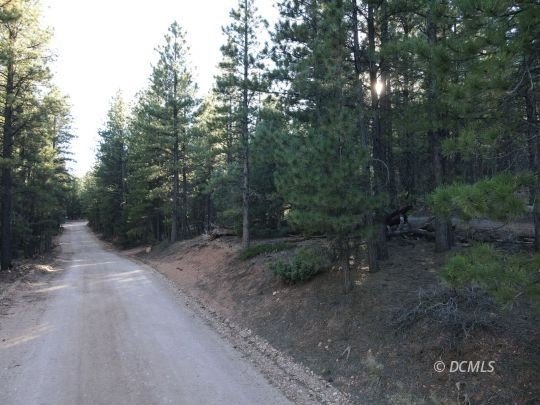 Picture 20