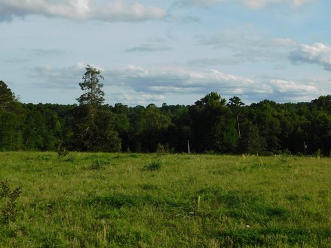 LAND - Big Sandy, TX