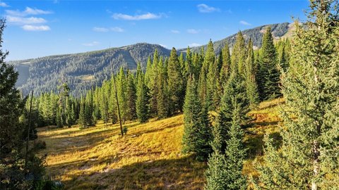 Land, Big Sky, MT