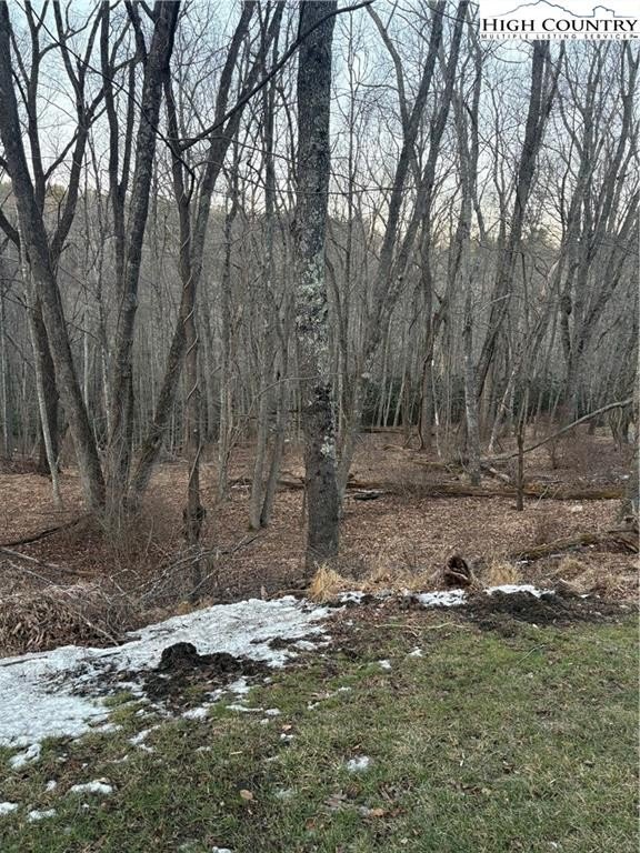 Land in Sparta, North Carolina