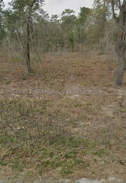 Land, FL