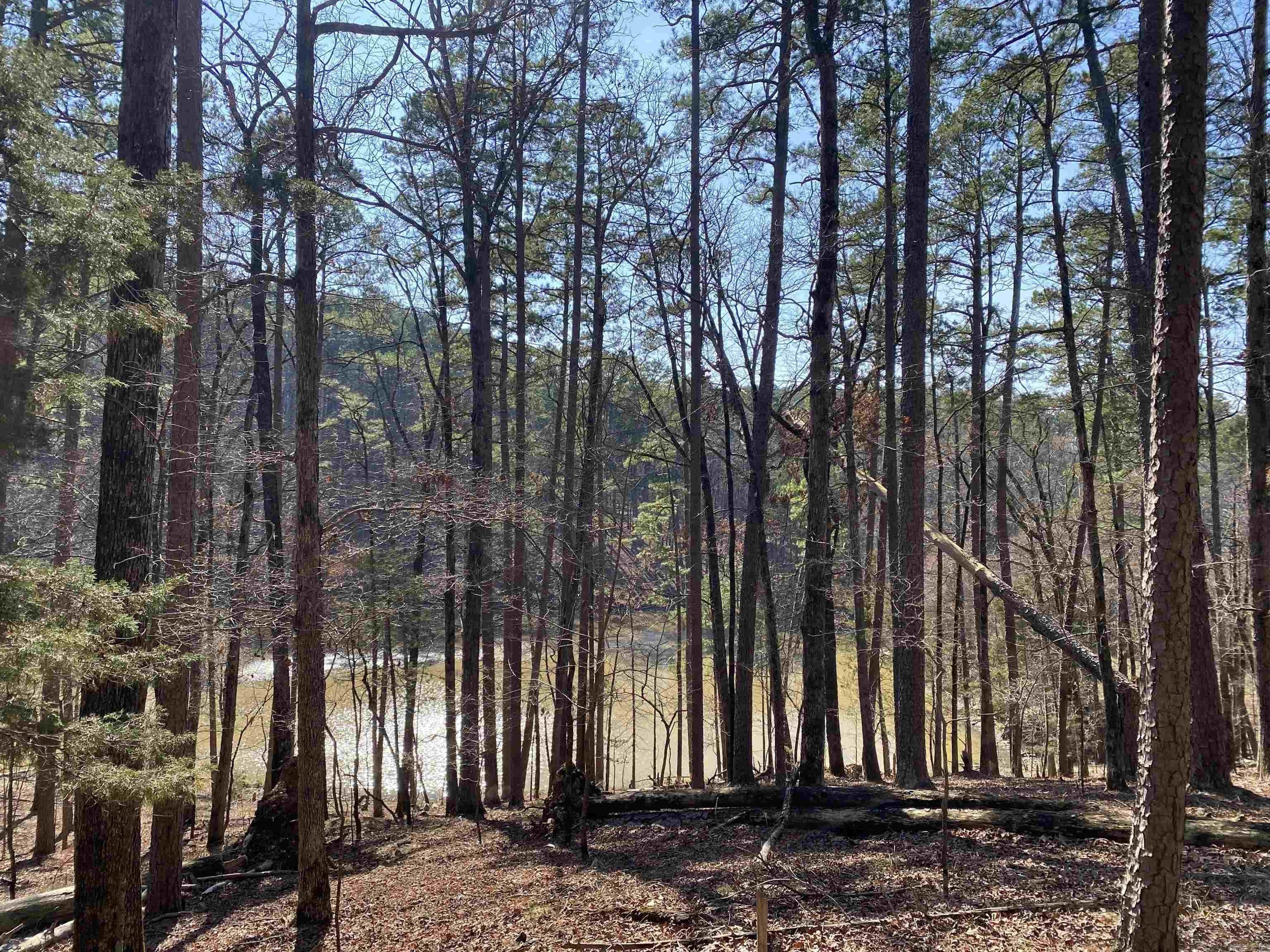 Land in Mountain Harbor Resort