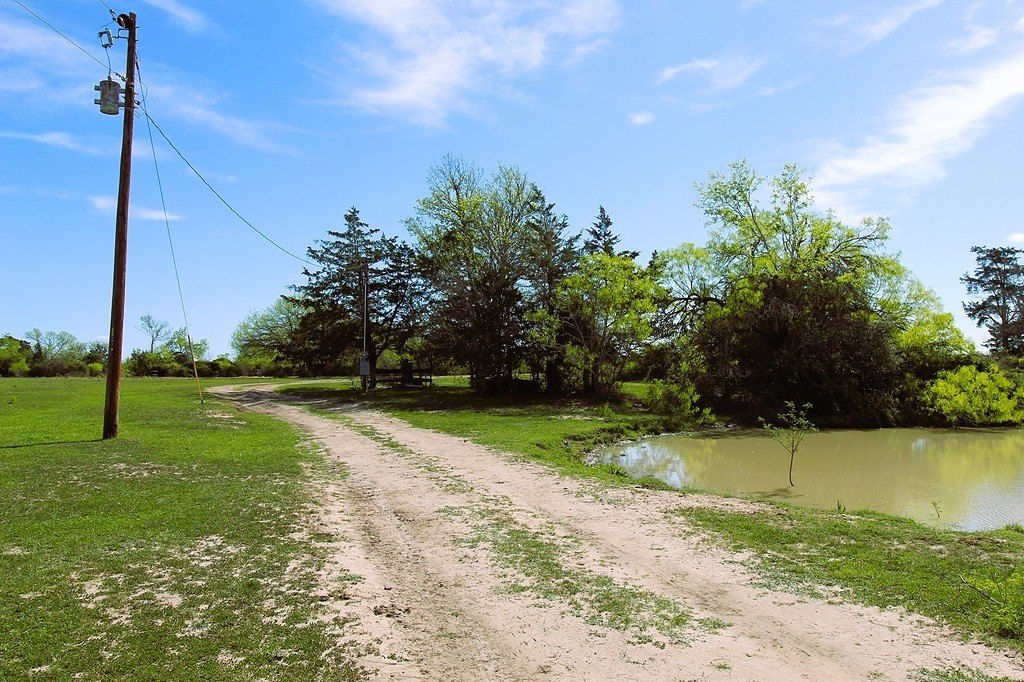 Picture 11