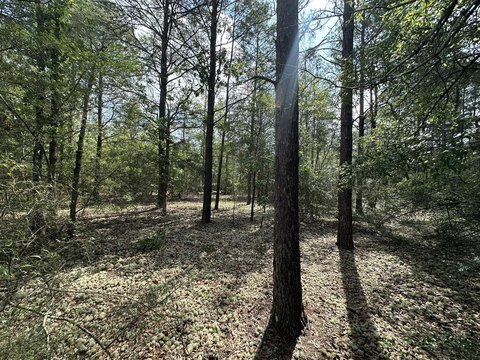 Crestview Wooded Land Parcel
