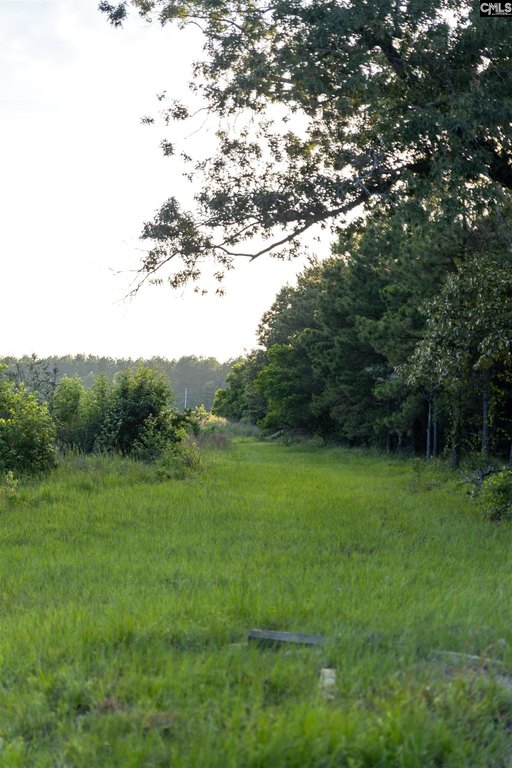 Picture 7