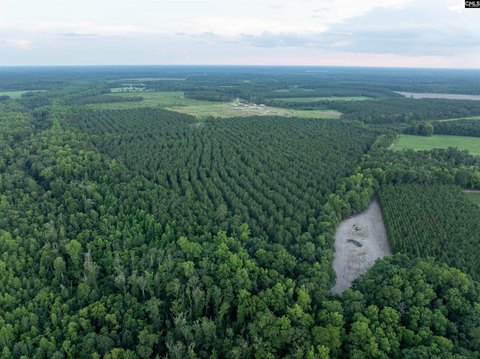 Recreational Timberland Tract