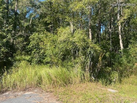 Callahan, FL Vacant Land